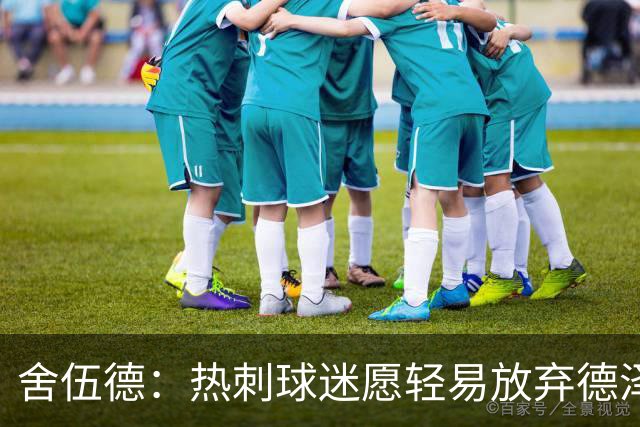 舍伍德：热刺球迷愿轻易放弃德泽尔比以换波切蒂诺重返