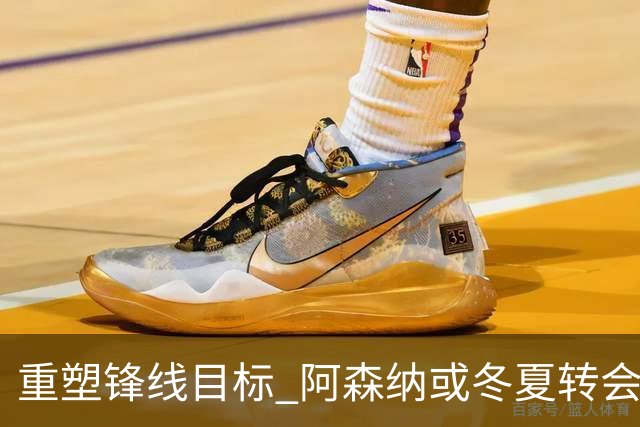 重塑锋线目标 阿森纳或冬夏转会期寻中锋